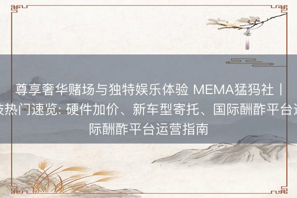 尊享奢华赌场与独特娱乐体验 MEMA猛犸社丨一周科技热门速览: 硬件加价、新车型寄托、国际酬酢平台运营指南