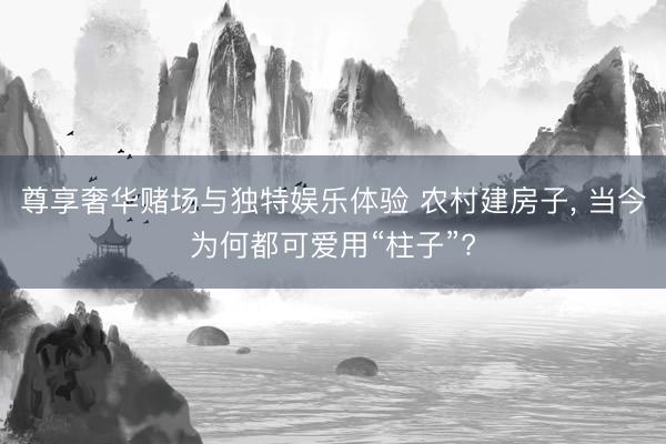 尊享奢华赌场与独特娱乐体验 农村建房子， 当今为何都可爱用“柱子”?