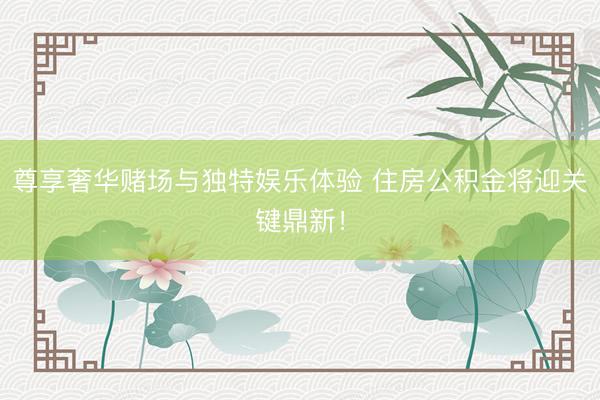 尊享奢华赌场与独特娱乐体验 住房公积金将迎关键鼎新！