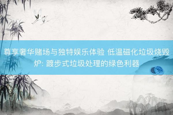尊享奢华赌场与独特娱乐体验 低温磁化垃圾烧毁炉: 踱步式垃圾处理的绿色利器